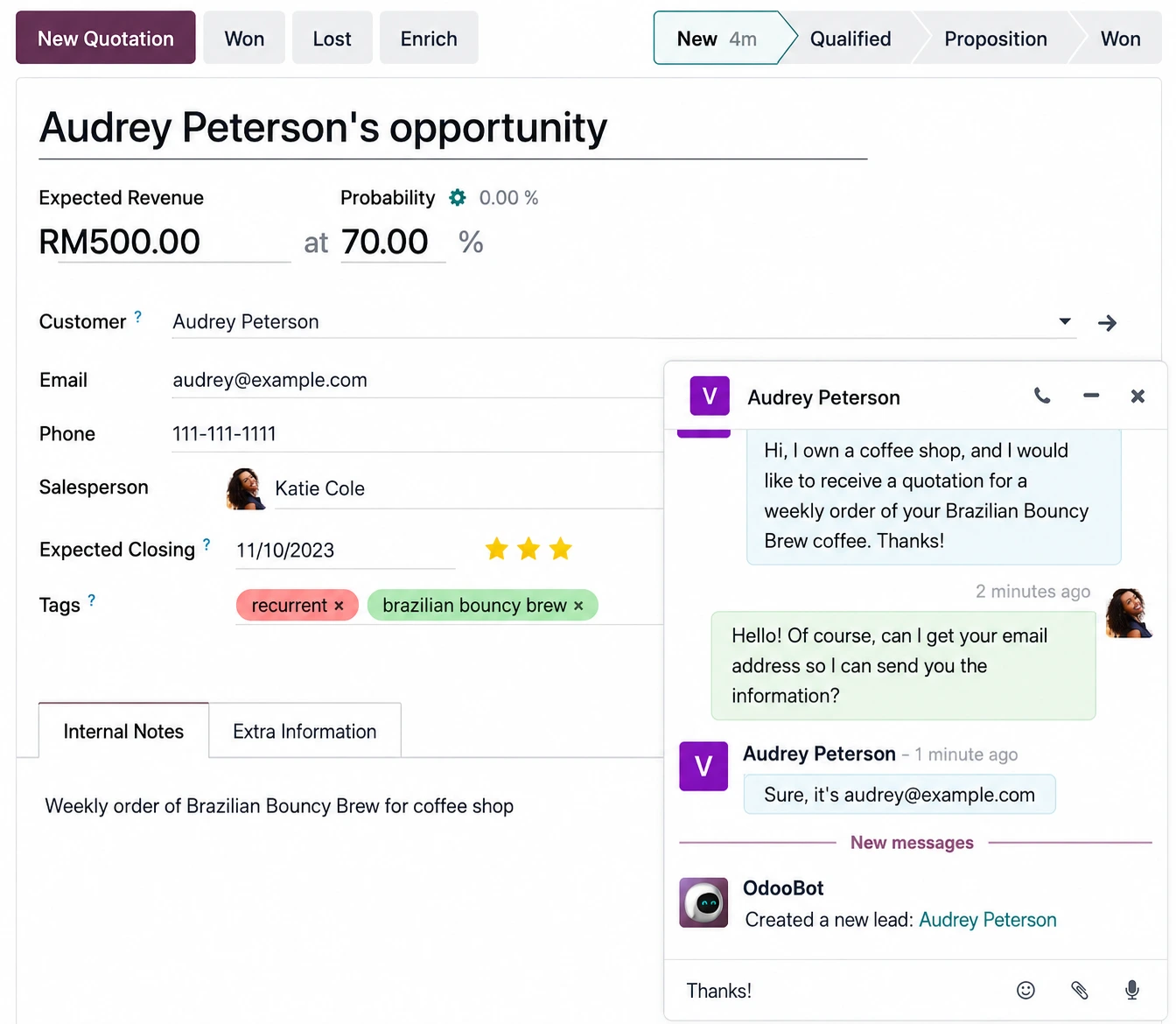 Odoo Live Chat lead capture and customer support
