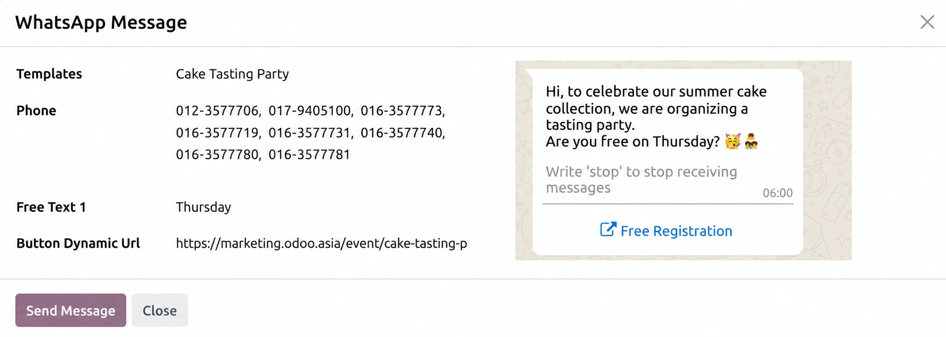 Odoo bulk WhatsApp messaging screen for selected leads and customer contacts